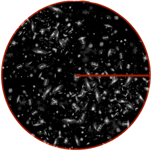 3 Mpc annotated galaxies